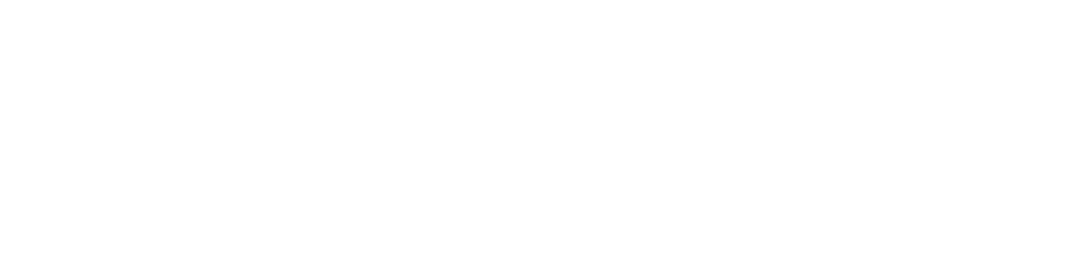 Logo da Palmus