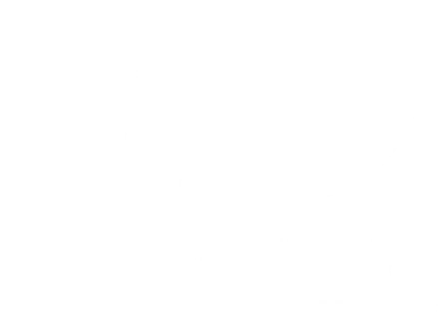ANEEL