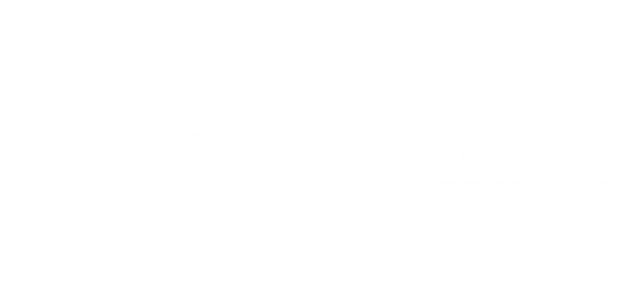 ACE Ventures